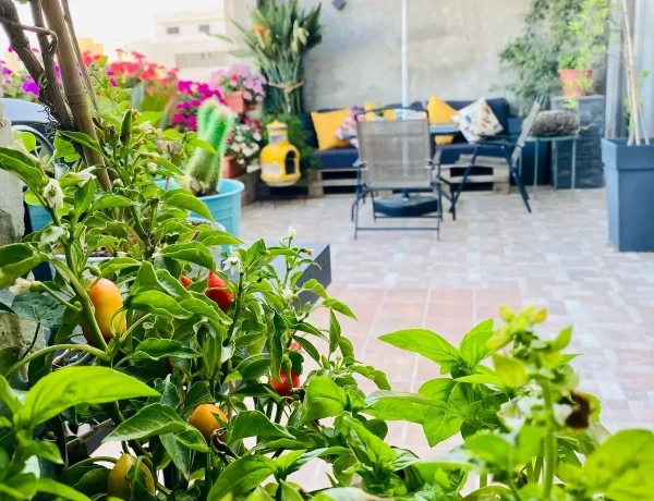 Elegant Two-Bedroom Apartment with Stunning Views and a Flower Garden Terrace – Abdoun