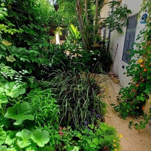 1 Bedroom Apartment for Rent in Rainbow Street, Amman | 100 sqm Modern Apartment