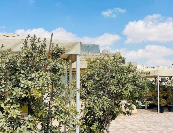 Cozy Furnished Apartment with Terrace – Jabal Al Lweibdeh, Amman