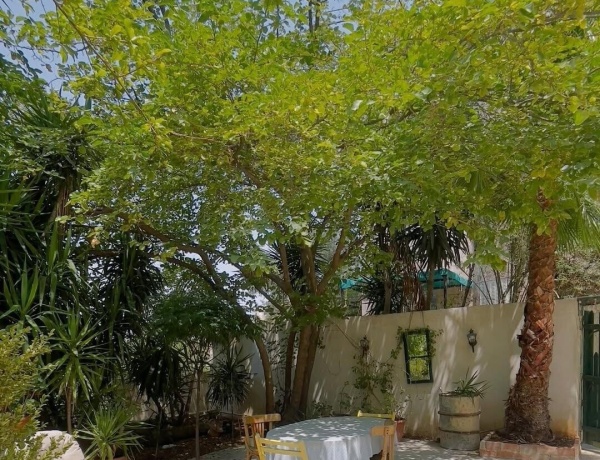 Charming Heritage House in the heart of Jabal Amman – just steps from Rainbow Street!